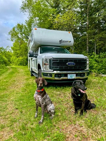 Northstar camper in trees with fall leaves on the ground
